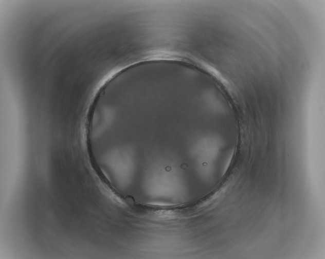 X0000110921463200907161509