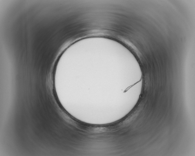 X0000110921467200907161509