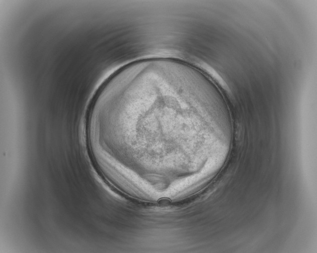X0000110921468200907161509