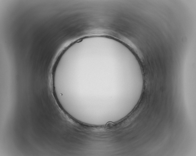 X0000110921472200907161509