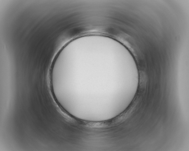 X0000110921474200907161509