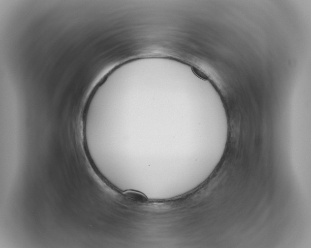 X0000110921476200907161509