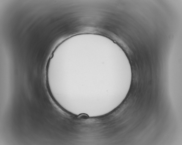 X0000110921479200907161509