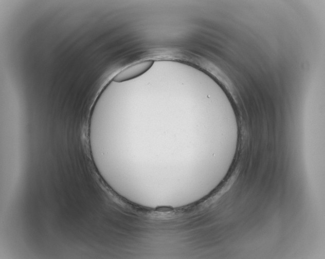 X0000110921481200907161509