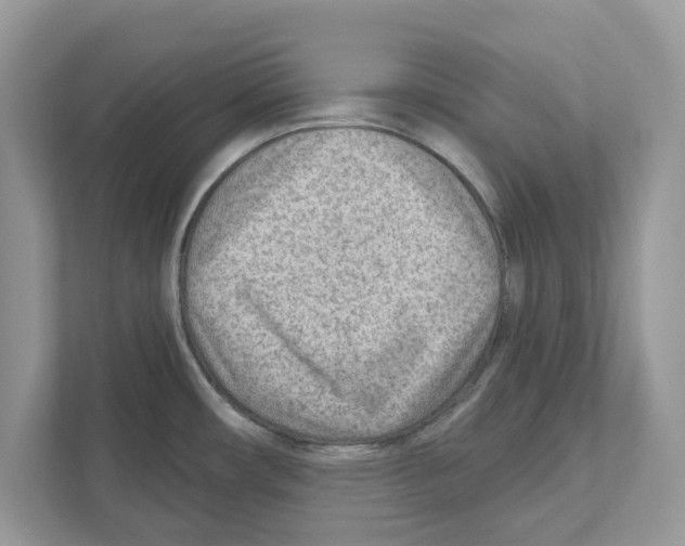 X0000110921482200907161509