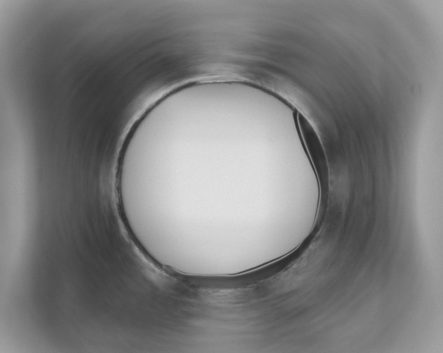 X0000110921485200907161509