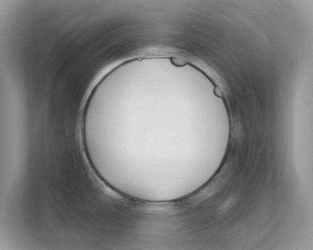 X0000110921486200907161509