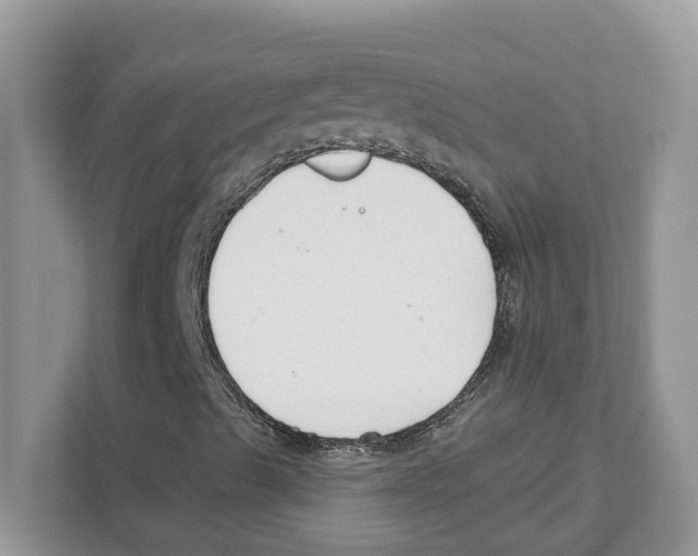 X0000110921489200907161508