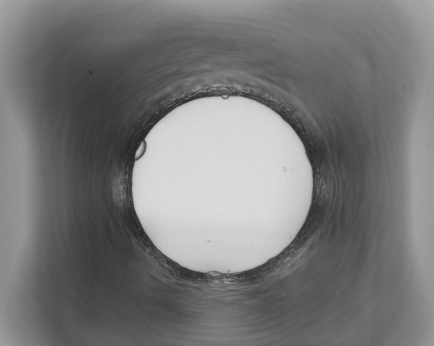 X0000110921490200907161508