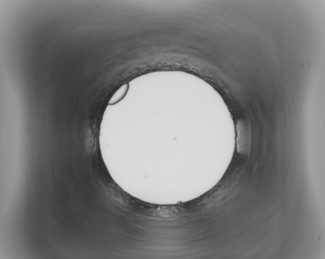 X0000110921491200907161508