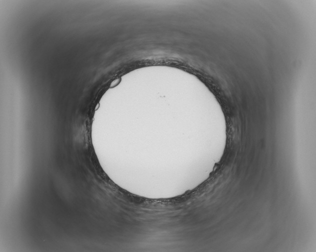 X0000110921493200907161508