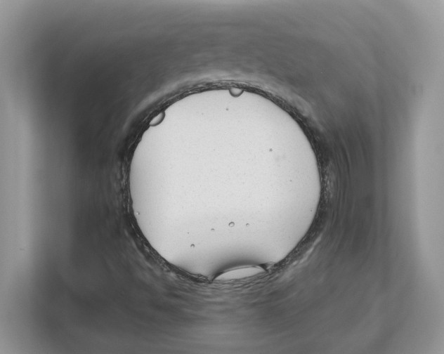 X0000110921494200907161508