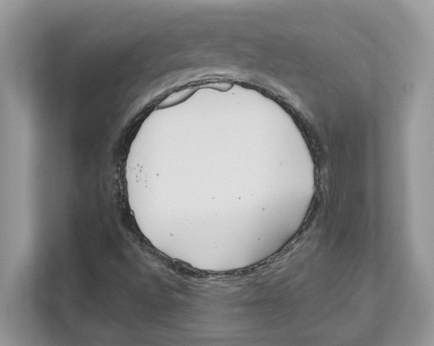 X0000110921496200907161508