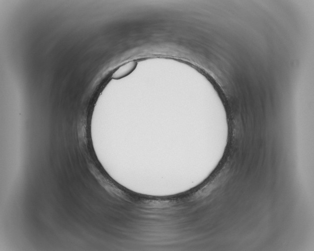 X0000110921499200907161508