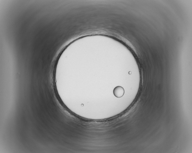 X0000110921500200907161508