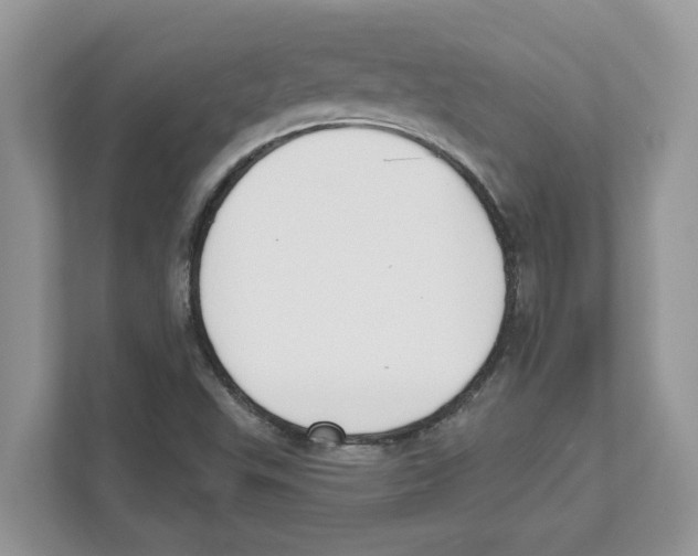 X0000110921503200907161508