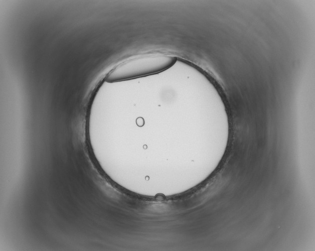 X0000110921504200907161508