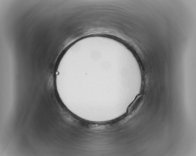 X0000110921505200907161508