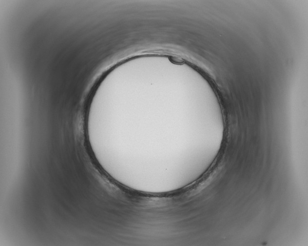 X0000110921506200907161508