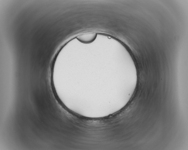X0000110921508200907161508
