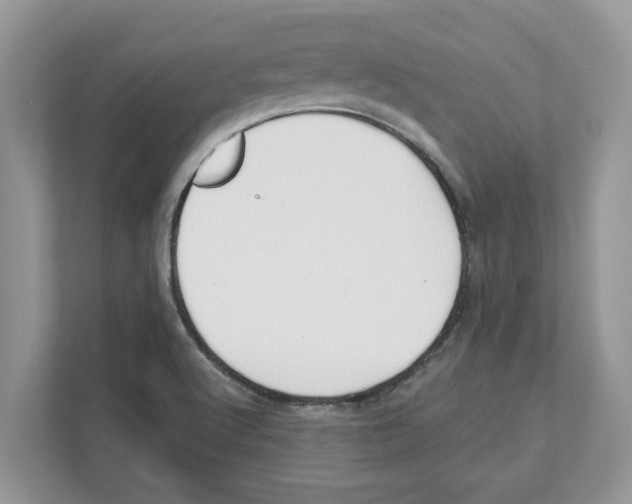 X0000110921512200907161508