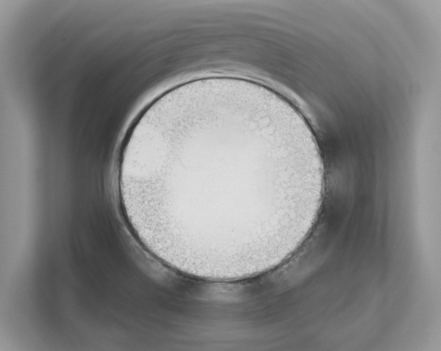 X0000110921514200907161508