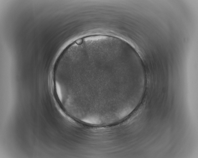 X0000110921515200907161508