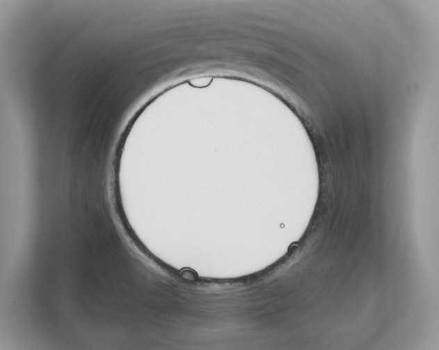 X0000110921518200907161508