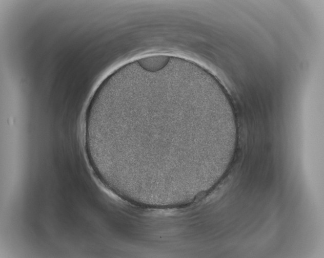 X0000110921519200907161508