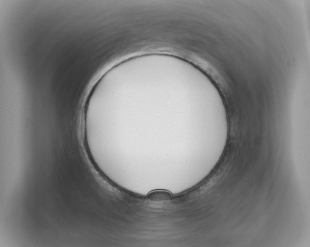 X0000110921520200907161508