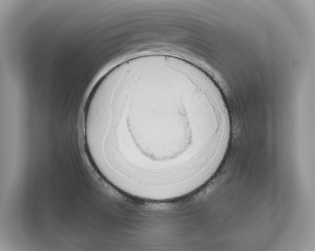 X0000110921522200907161508