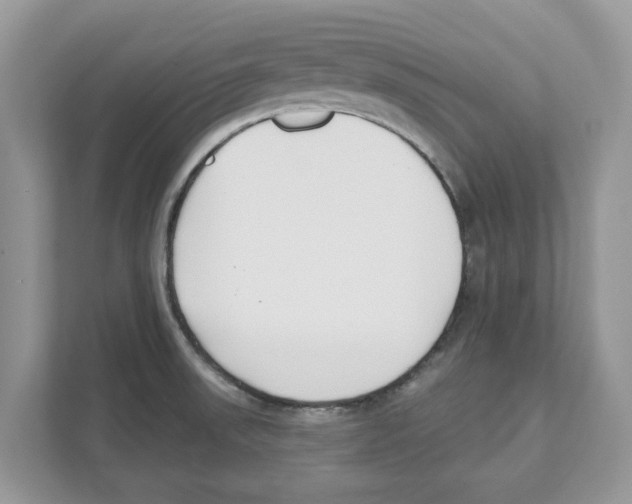 X0000110921523200907161508