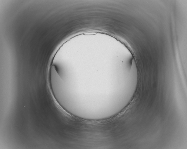 X0000110921524200907161508