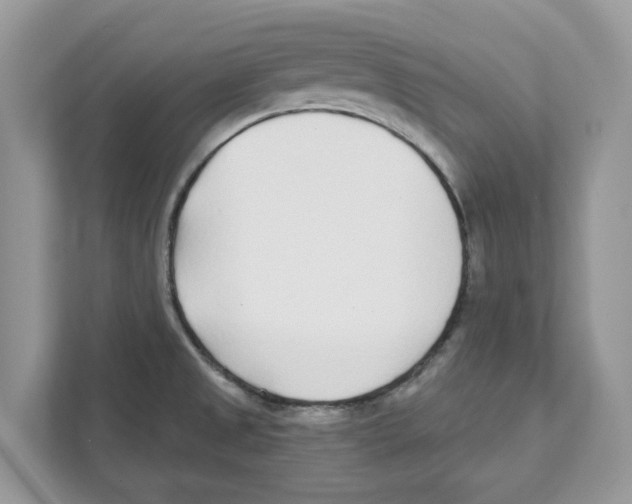 X0000110921525200907161508