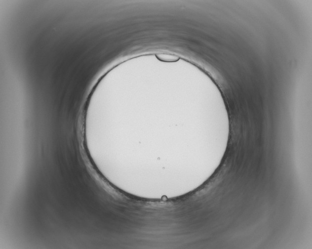 X0000110921526200907161509