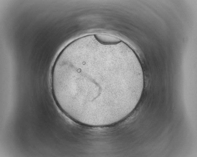 X0000110921527200907161509