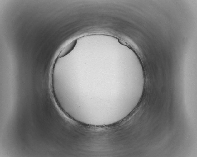 X0000110921528200907161509