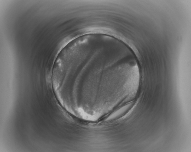 X0000110921529200907161509