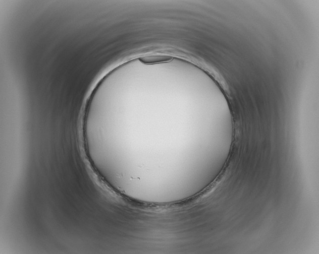 X0000110921530200907161509