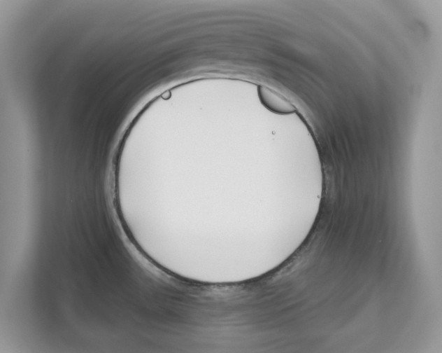 X0000110921531200907161509