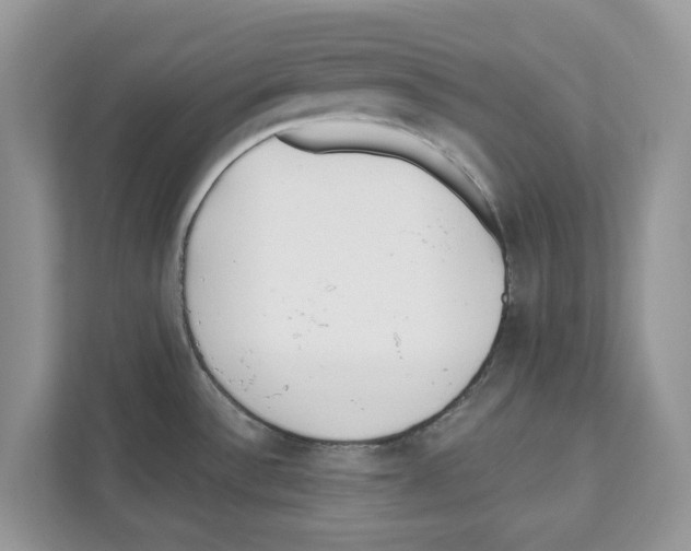 X0000110921532200907161509