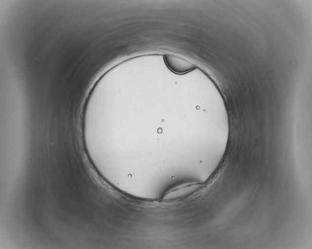 X0000110921534200907161509
