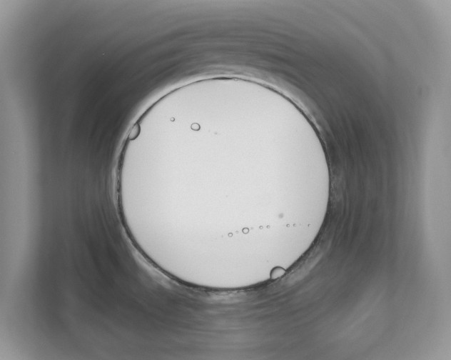 X0000110921535200907161509