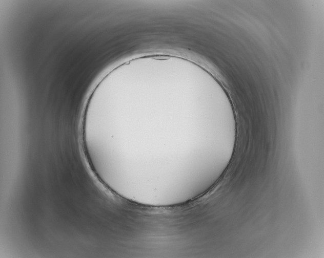 X0000110921536200907161509