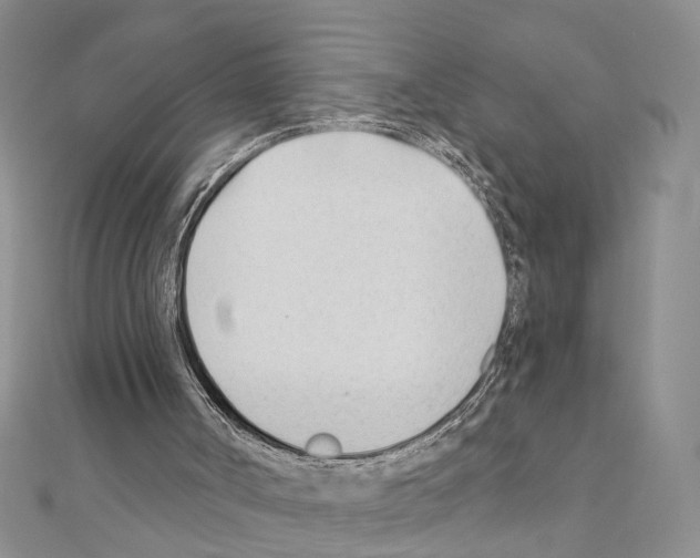 X0000110920002200907301612
