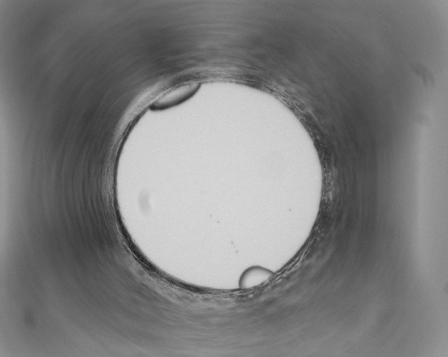 X0000110920004200907301612