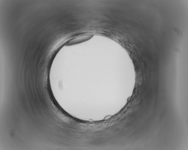 X0000110920005200907301612