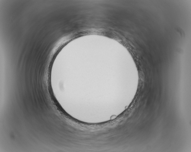 X0000110920006200907301612