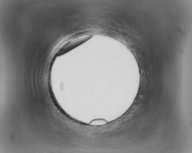 X0000110920007200907301612