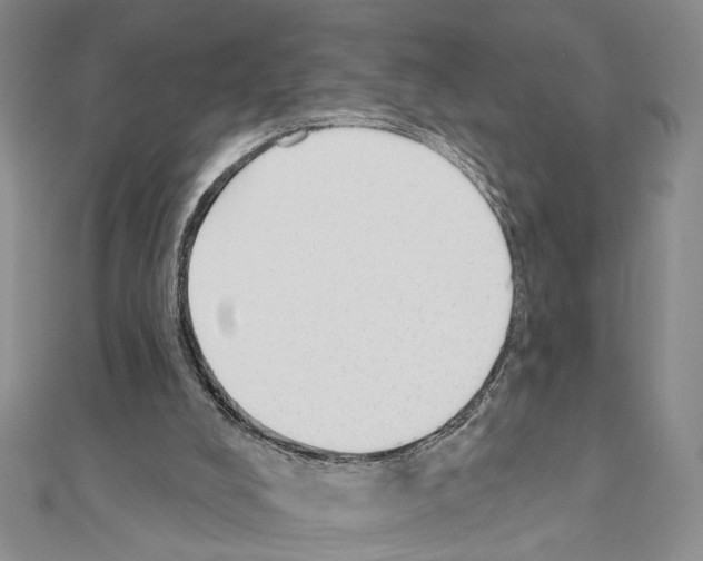 X0000110920008200907301612